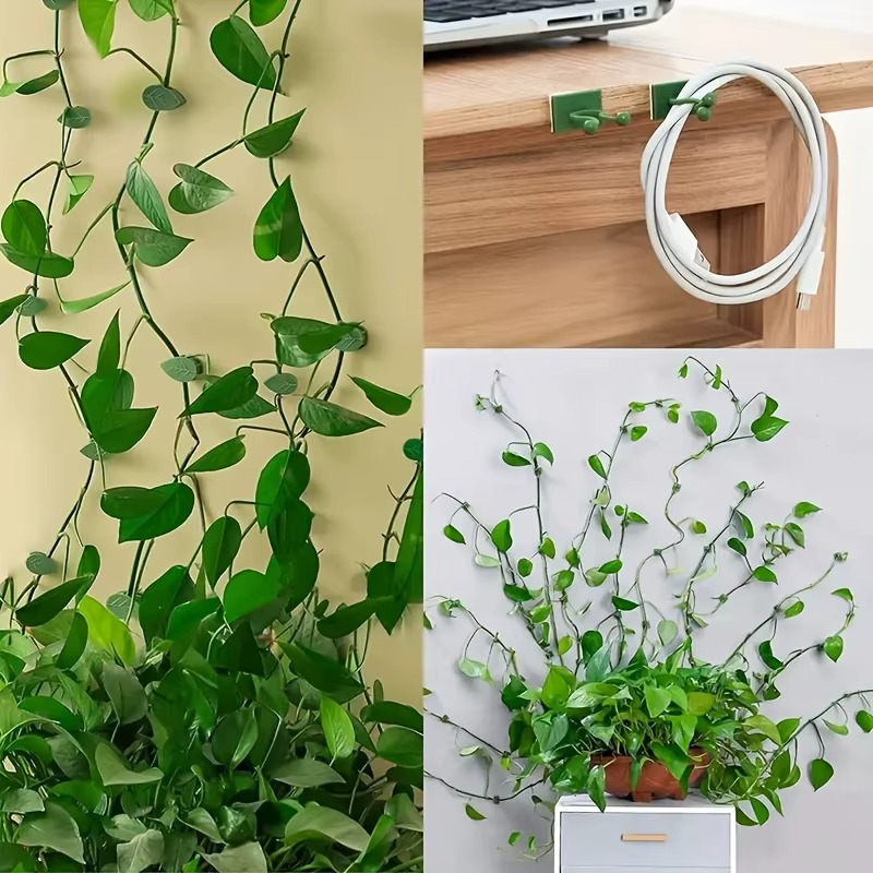 Plant Climbing Self-Adhesive Wall Clips ( 60 Pcs Set )