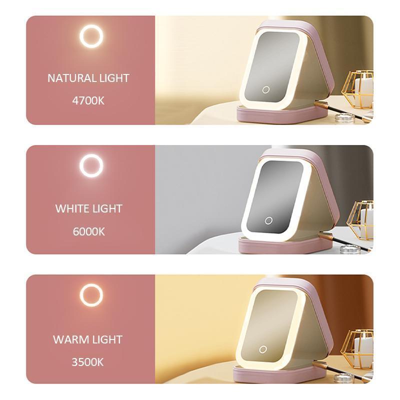 Makeup & Jewelry Organizer with LED Mirror ( 3 Light Settings )✨