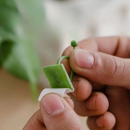 Plant Climbing Self-Adhesive Wall Clips ( 60 Pcs Set )
