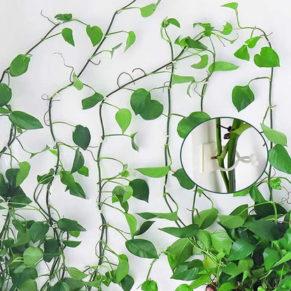 Plant Climbing Self-Adhesive Wall Clips ( 60 Pcs Set )