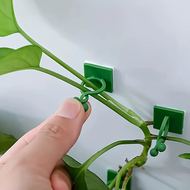Plant Climbing Self-Adhesive Wall Clips ( 60 Pcs Set )