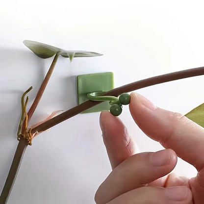 Plant Climbing Self-Adhesive Wall Clips ( 60 Pcs Set )