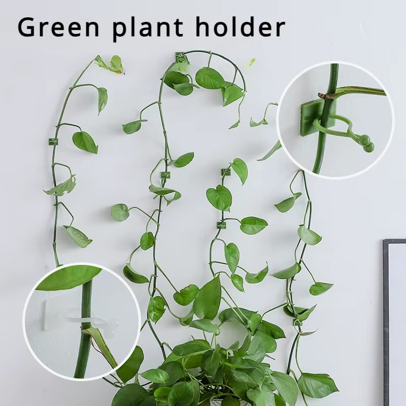 Plant Climbing Self-Adhesive Wall Clips ( 60 Pcs Set )